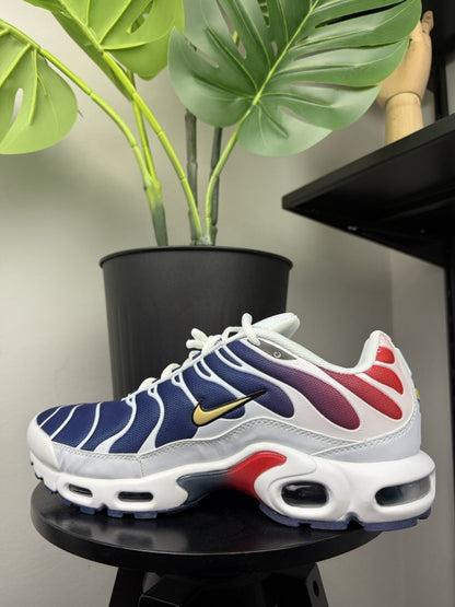Nike Air Max Plus TN