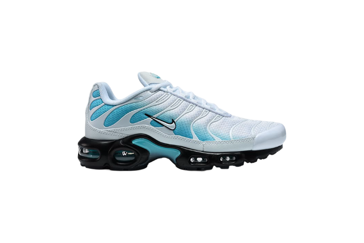Nike Air Max Plus TN " Dusty Cactus"