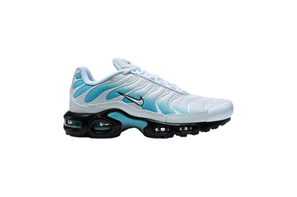 Nike Air Max Plus TN " Dusty Cactus"