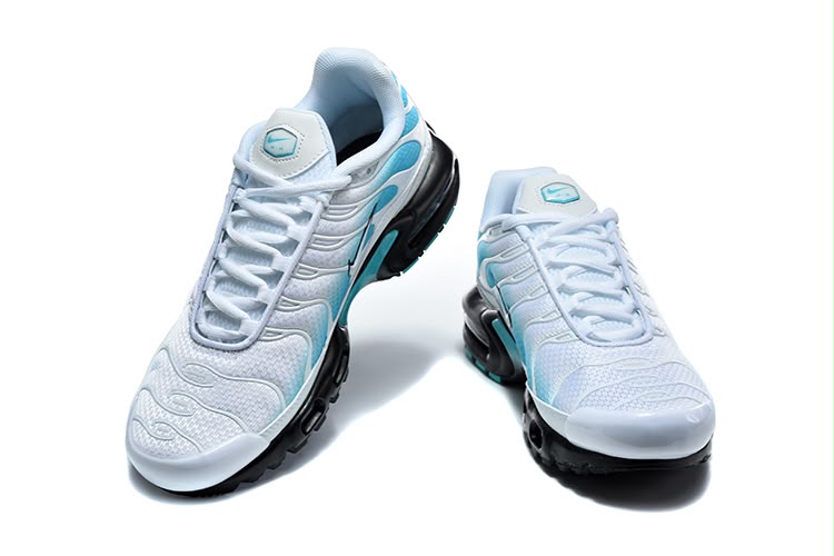 Nike Air Max Plus TN " Dusty Cactus"