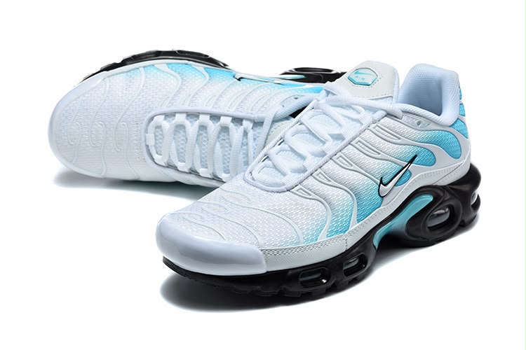 Nike Air Max Plus TN " Dusty Cactus"