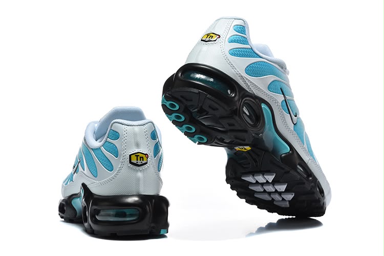 Nike Air Max Plus TN " Dusty Cactus"
